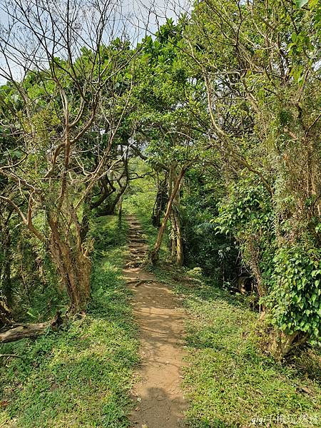 台東景點｜台東長濱星龍花園｜矗立山頂的秘境，無敵海景平台~聆聽山與海的聲音｜gigi手機玩透透-5.jpg