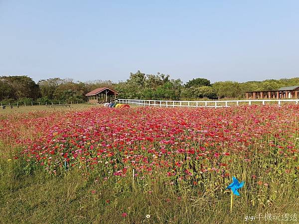 台南免門票景點｜德元埤荷蘭村｜風車、鬱金香~彷彿一秒飛到荷蘭｜gigi手機玩透透-10.jpg