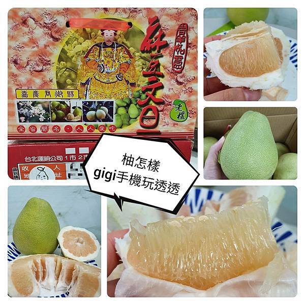 台南麻豆文旦|柚怎樣|樹齡23年不長也不短~不是老欉又怎樣,好吃就好|gigi手機玩透透-1.jpg 台南麻豆文旦|柚怎樣|樹齡23年不長也不短~不是老欉又怎樣,好吃就好|gigi手機玩透透-1.jpg