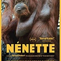 2.Nenette.jpg