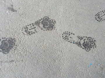 footprint_02