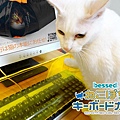‪#‎日本代購‬ ‪#‎貓奴必備‬ ‪#‎鍵盤防護罩‬