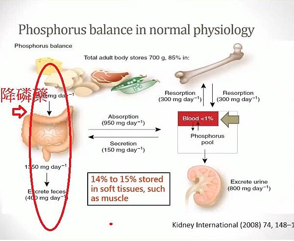 phosporus - 複製.jpg