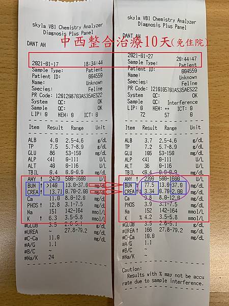 貓狗腎衰竭治療之厭食症反轉篇(曙光再現)(食慾恢復)