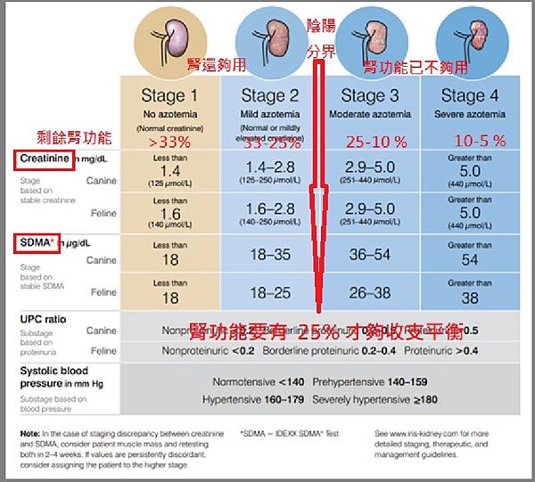 腎衰竭分期表.jpg