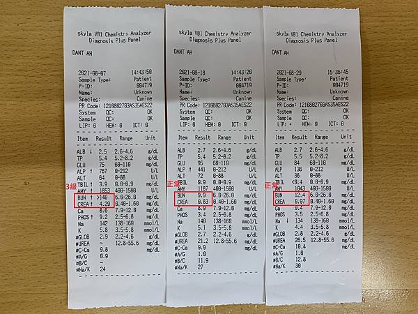 貓狗腎臟病(腎衰竭)案例 之 分級 (下)