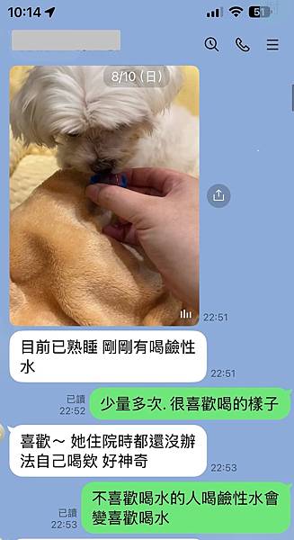 狗腎衰竭治療案例(腎臟病) 4級末末期降回3級(精神食慾腎臟