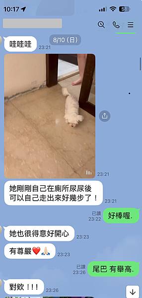 狗腎衰竭治療案例(腎臟病) 4級末末期降回3級(精神食慾腎臟