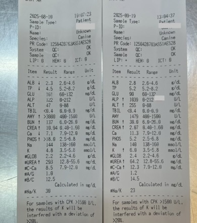 狗腎衰竭治療案例(腎臟病) 4級末末期降回3級(精神食慾腎臟