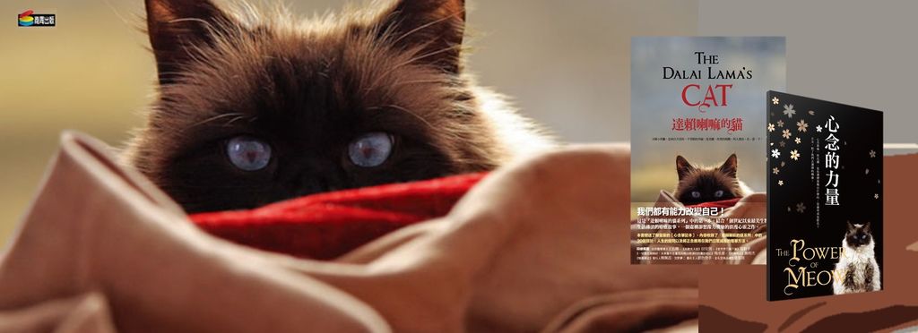 BN MEO.jpg BN MEO.jpg