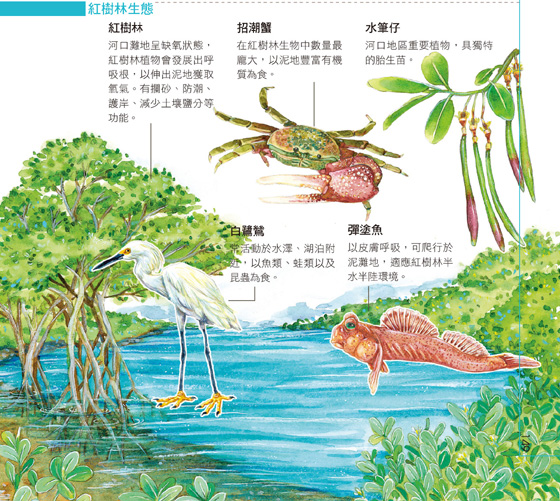 驚豔臺灣圖.jpg 驚豔臺灣圖.jpg