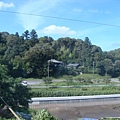 沿路的風景