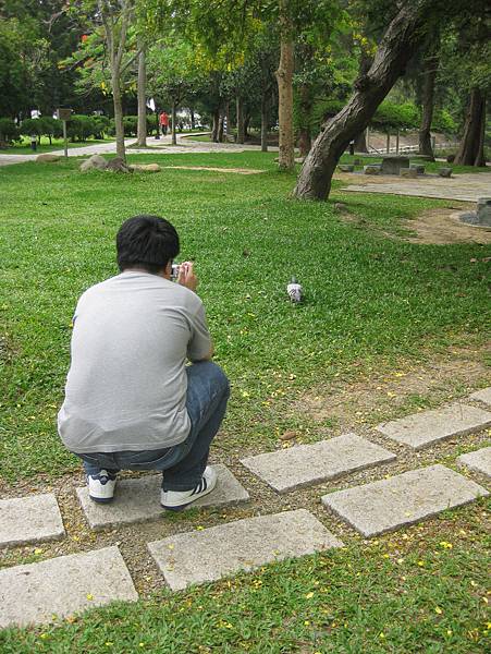 佳銘學長很愛鴿子