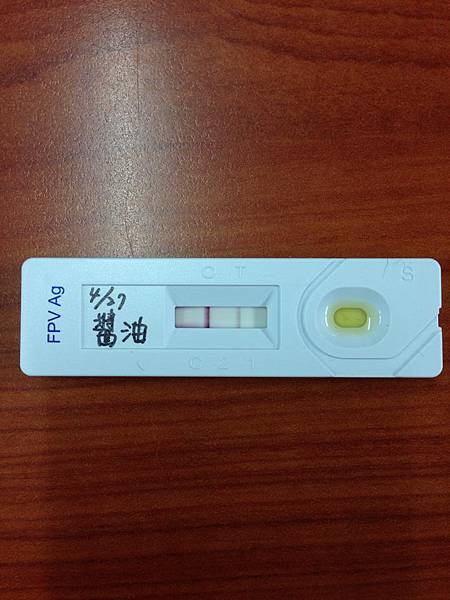 104-4-27貓瘟檢驗