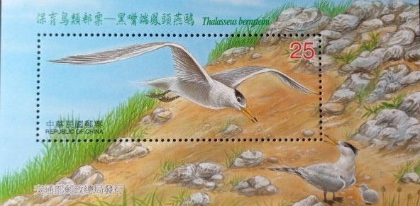 保育鳥類郵票—黑嘴端鳳頭燕鷗(91年版)