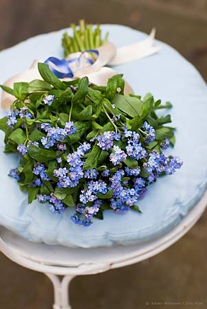 9月 Birth Flower – Forget-me-not