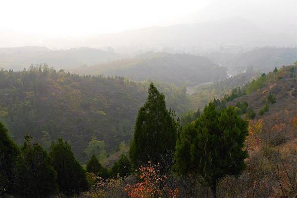 P1050198.JPG P1050198.JPG