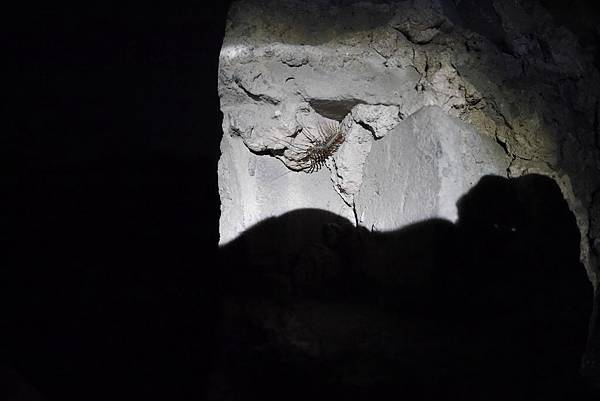 P1050236.JPG P1050236.JPG