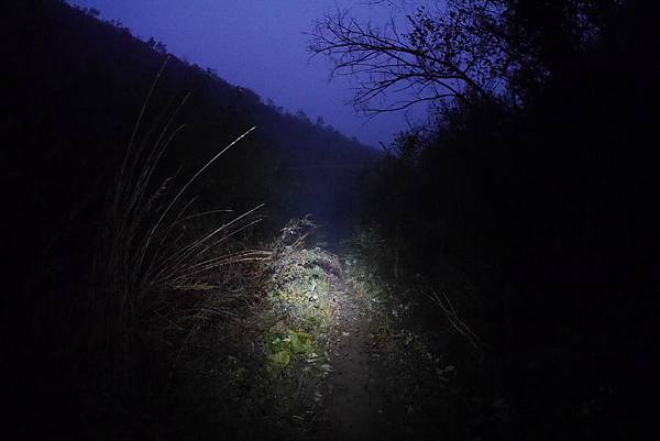 P1050245.JPG P1050245.JPG