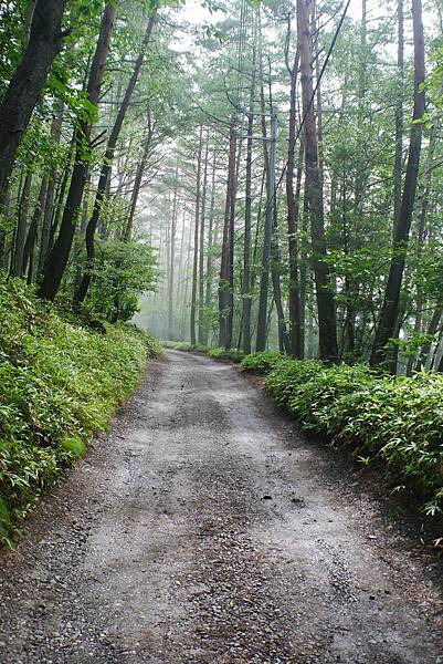 P1090420.JPG P1090420.JPG