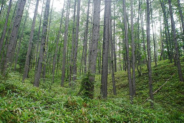 P1090421.JPG P1090421.JPG