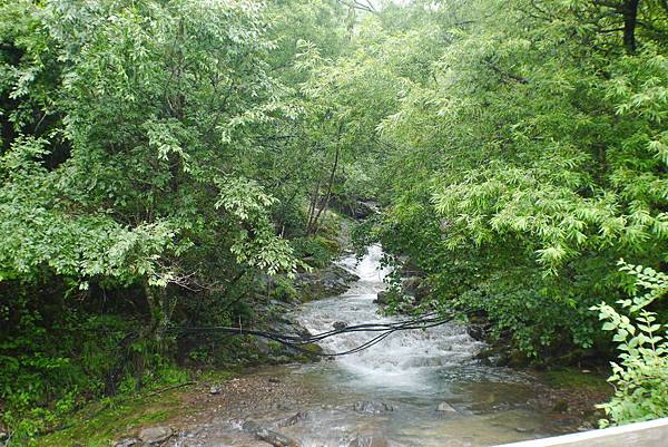 P1090425.JPG P1090425.JPG