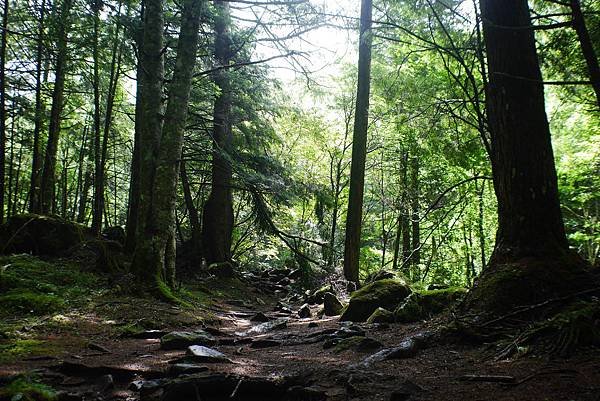 P1090434.JPG P1090434.JPG