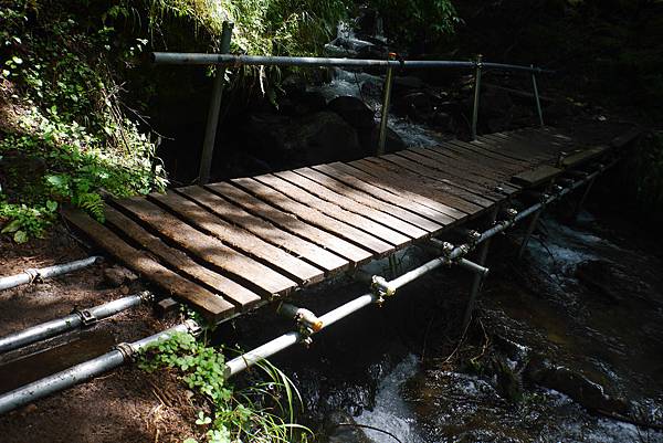 P1090435.JPG P1090435.JPG