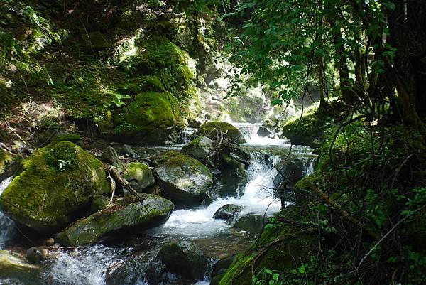 P1090437.JPG P1090437.JPG