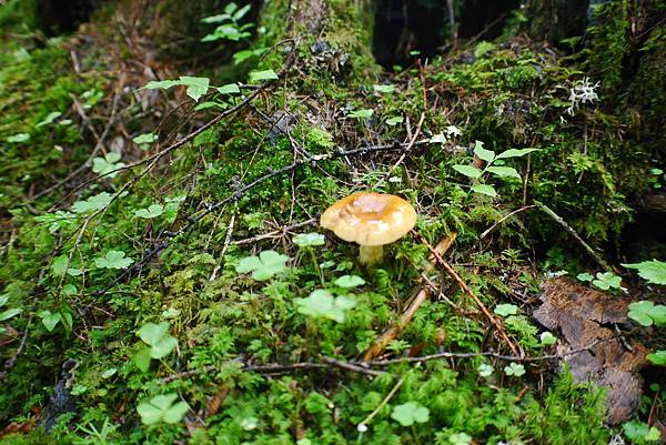 P1090438.JPG P1090438.JPG