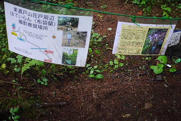 P1090439.JPG P1090439.JPG