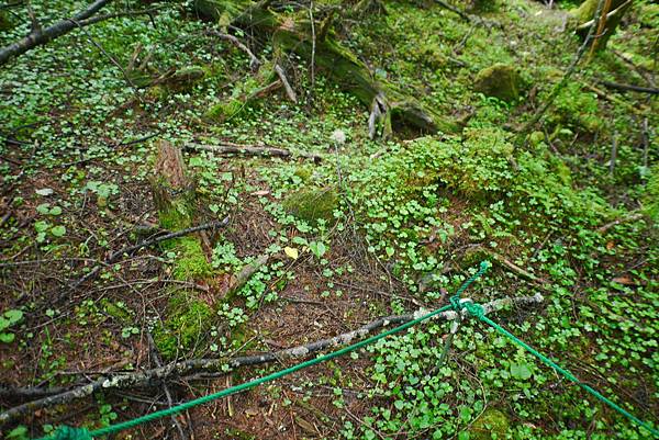 P1090440.JPG P1090440.JPG