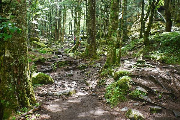 P1090441.JPG P1090441.JPG