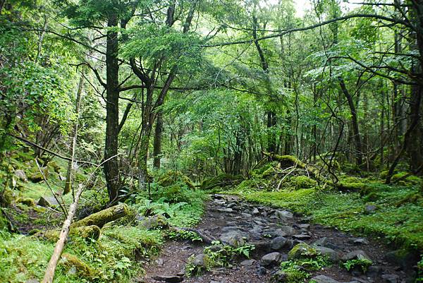 P1090429.JPG P1090429.JPG