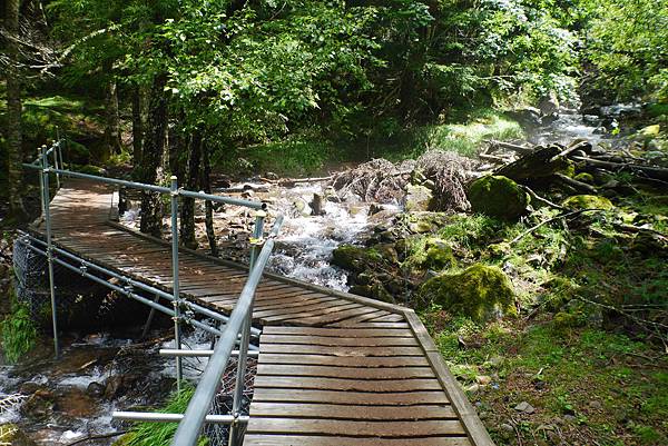 P1090442.JPG P1090442.JPG