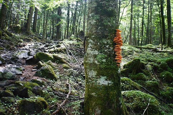 P1090432.JPG P1090432.JPG