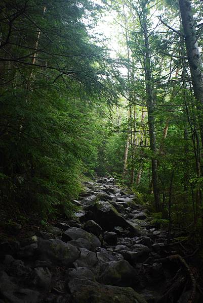 P1090445.JPG P1090445.JPG