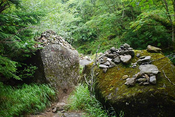 P1090447.JPG P1090447.JPG