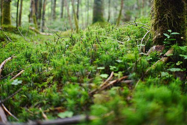 P1090452.JPG P1090452.JPG