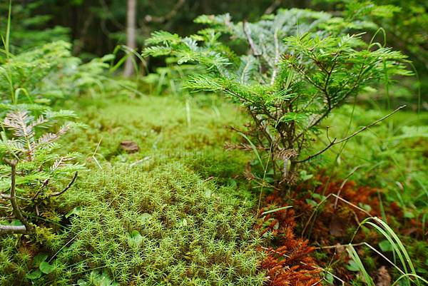 P1090455.JPG P1090455.JPG