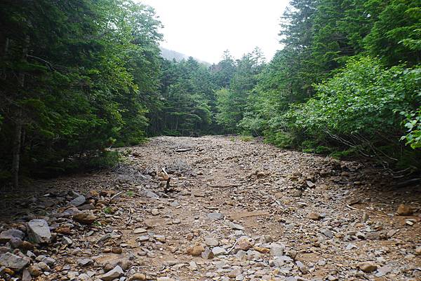 P1090450.JPG P1090450.JPG