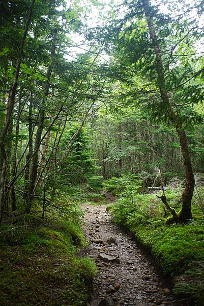 P1090454.JPG P1090454.JPG