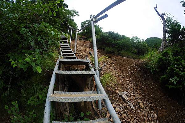 P1090514.JPG P1090514.JPG