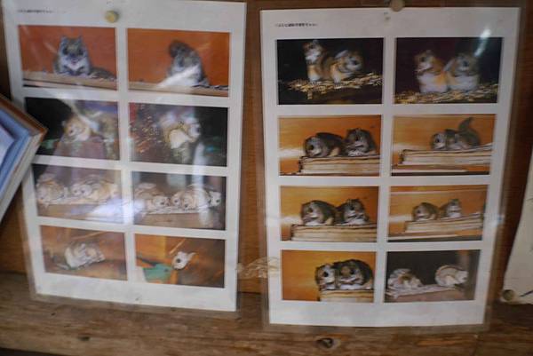 P1090638.jpg P1090638.jpg