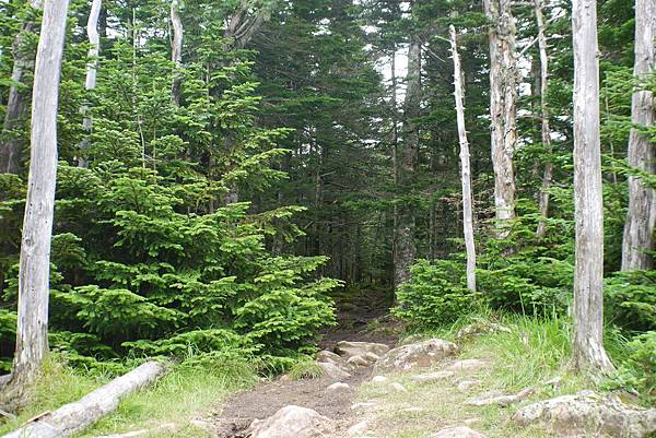 P1090643.jpg P1090643.jpg