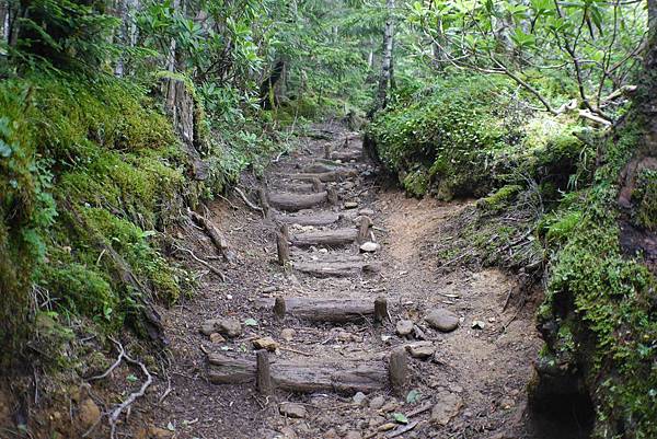 P1090648.jpg P1090648.jpg