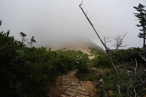 P1090657.jpg P1090657.jpg