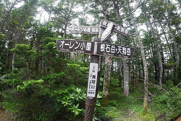 P1090656.jpg P1090656.jpg