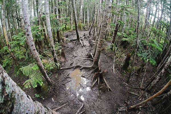 P1090688.jpg P1090688.jpg