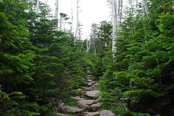 P1090704.jpg P1090704.jpg